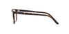 Polo PH2209 Eyeglasses / Shiny Dark Havana