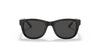 Polo PP9501 Sunglasses | Size 47 / Shiny Black / Dark Grey (3N 10%)