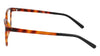 Pure P3014 Eyeglasses / Black