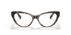 Ralph RA7106 Eyeglasses / Shiny Transparent Dark Havana