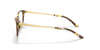 Ralph Lauren RL6207 Eyeglasses / Shiny Mustard Marble