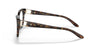 Ralph Lauren RL6209Q Eyeglasses / Shiny Dark Havana / Size 50
