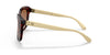 Ralph Lauren RL8192 Sunglasses | Size 56 / Shiny Striped Havana №500713 / Brown Gradient Dark Brown (2N 26.5%)
