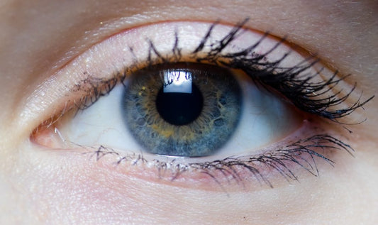 Partial Restoration of Vision In Blind Mice Achieved By Scientists - Heavyglare Eyewear