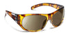7eye Clay Sunglasses / Tortoise / Eclypse Photochromic - Clr to Gray