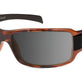 Black Tortoise