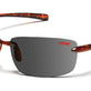 Polarized Gray