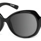 Polarized Gray (11%)