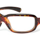 Black Tortoise