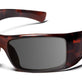 Polarized Gray (11%)