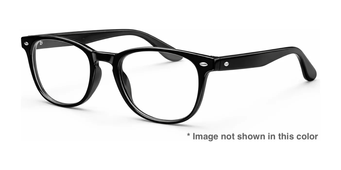 Paradox P5005 Eyeglasses | Size 53