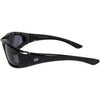 Birdz Oriole Sunglasses / Black Matte / Clear