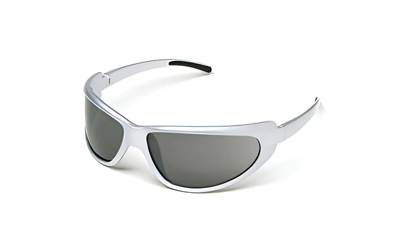 Body Specs V10 Sunglasses / Silver / Smoke Gray