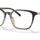 Black Tortoise Gradient №6117