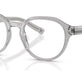 Grey Transparent №6074