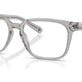 Grey Transparent №6074