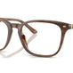 Brown Horn №6165