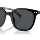 Shiny Black №609587