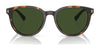 Brooks Brothers BB5050U Sunglasses | Size 55 / Tortoise / Solid Dark Green (3N 9.4%) №616171