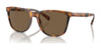 Brooks Brothers BB5052U Sunglasses Warm Tortoise / Dark Brown