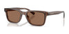 Brooks Brothers BB5061U Sunglasses | Size 53 / Brown / Brown (3N 9%) №617673