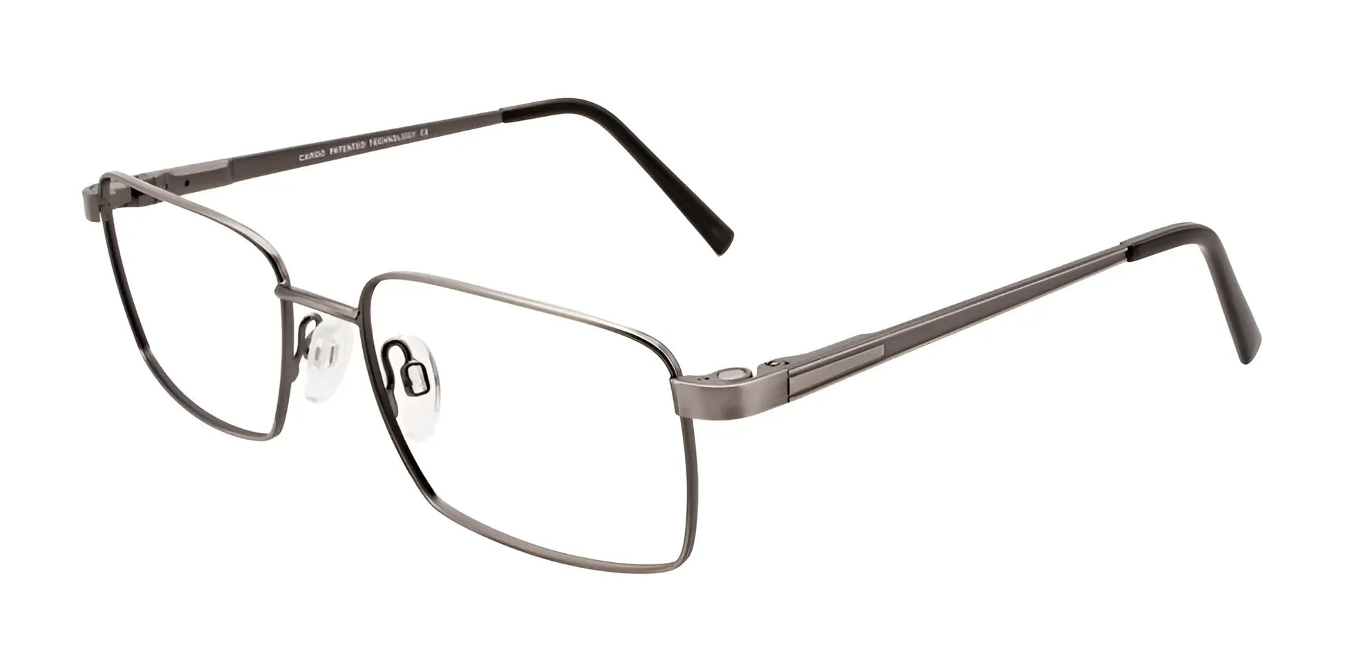 Cargo C5039 Eyeglasses with Clip-on Sunglasses Satin Brushed Silver