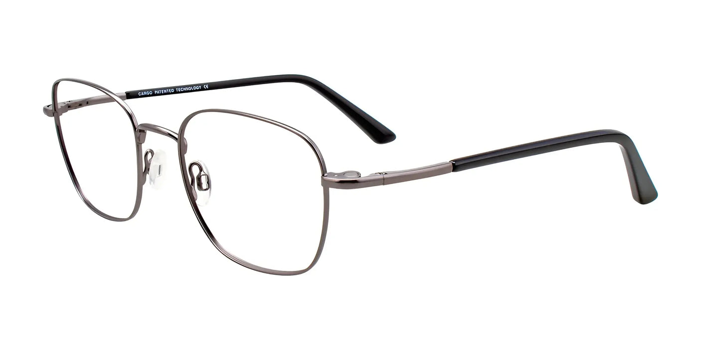 Cargo C5045 Eyeglasses with Clip-on Sunglasses Satin Steel