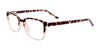 Cargo C5050 Eyeglasses with Clip-on Sunglasses | Size 48 / Dark Brown Tortoise & Crystal