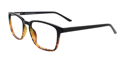 Cargo C5052 Eyeglasses with Clip-on Sunglasses Demi Amber & Black