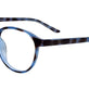 Blue Tortoise