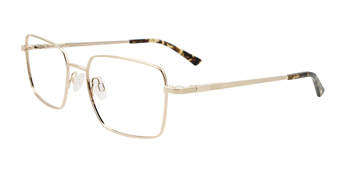 Cargo C5513 Eyeglasses with Clip-on Sunglasses | Size 53 / Light Gold