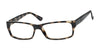 Casino Eyewear DAVID Eyeglasses | Size 57 / Tortoise