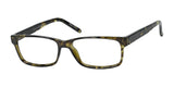 Casino Eyewear DANIEL Eyeglasses Tortoise
