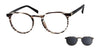 Casino Eyewear WHITLEY Eyeglasses with Sun Clip | Size 48 / Havana