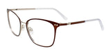 Clip & Twist CT267 Eyeglasses with Clip-on Sunglasses Matt Brown & Silver