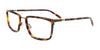 Clip & Twist CT272 Eyeglasses with Clip-on Sunglasses | Size 54 / Matt Brz & Demi Amber/Matt Brz