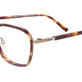 Brown Tortoise & Gold