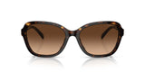 Coach CD482 HC8349U Sunglasses