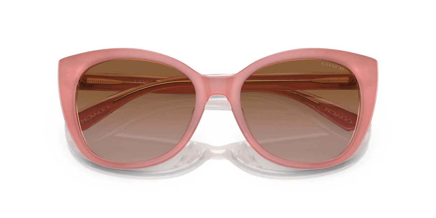 Coach CH567 HC8365U Sunglasses