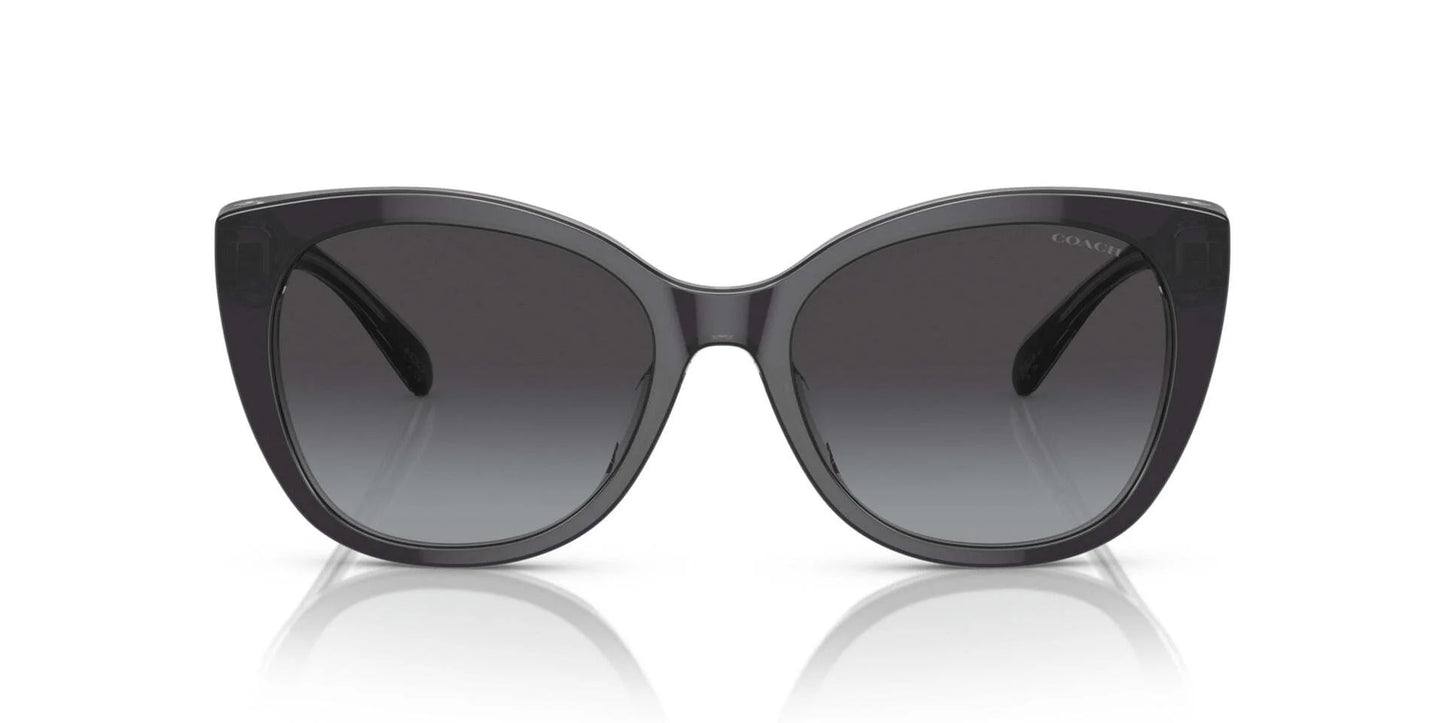 Coach CH567 HC8365U Sunglasses