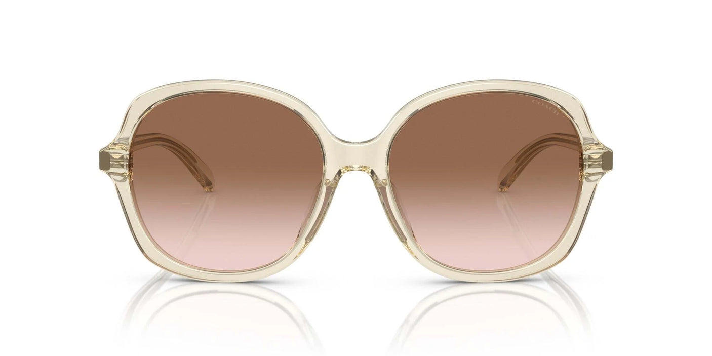 Coach CH568 HC8360U Sunglasses