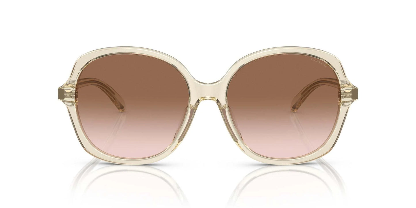 Coach CH568 HC8360U Sunglasses