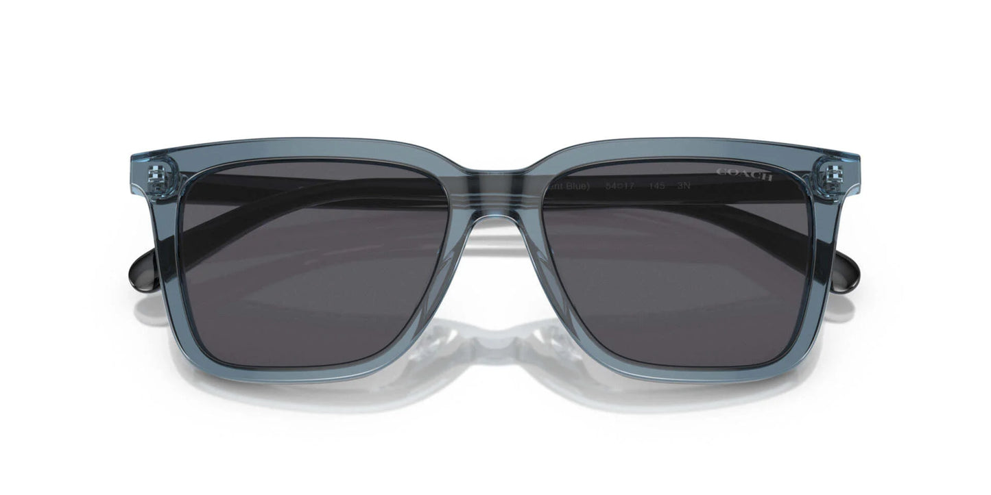 Coach CL916 HC8385U Sunglasses