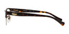 Coach HC5066 Eyeglasses | Size 53 / Satin Brown №9155