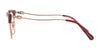 Coach HC5104B Eyeglasses / Brown/Light Gold №9331 / Size 51