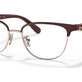 Burgundy/Shiny Rose Gold №9385