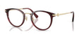 Coach HC5133D Eyeglasses Transparent Mauve