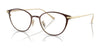 Coach HC5181TD Eyeglasses | Size 51 / Shiny Dark Brown №9405