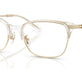 Shiny Light Gold/Clear №9430