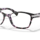 Purple Tortoise №5548